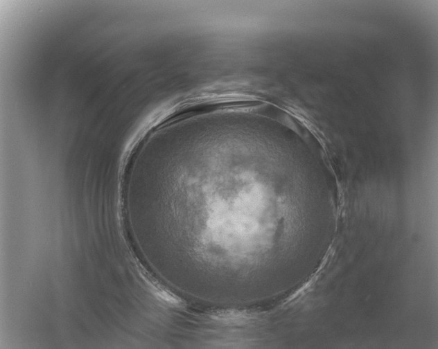 X0000058120293200509301934