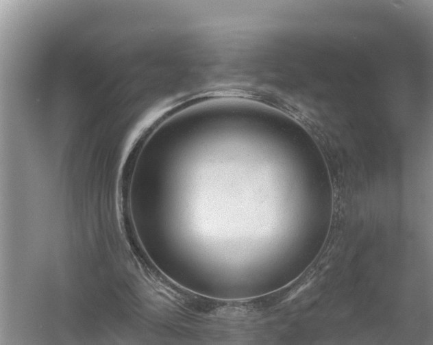 X0000058120294200509301934