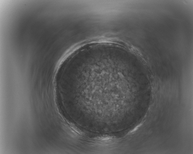 X0000058120295200509301934