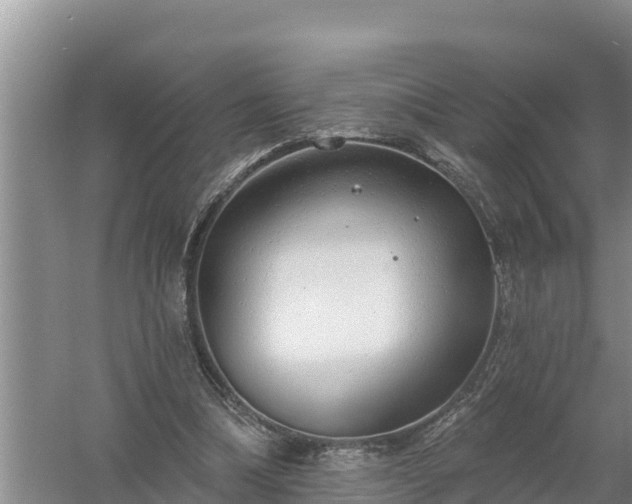 X0000058120298200509301934