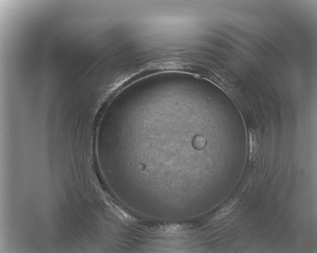 X0000058120301200509301934