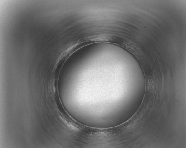 X0000058120302200509301934