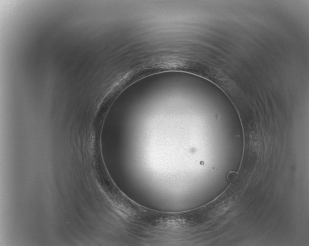 X0000058120304200509301934