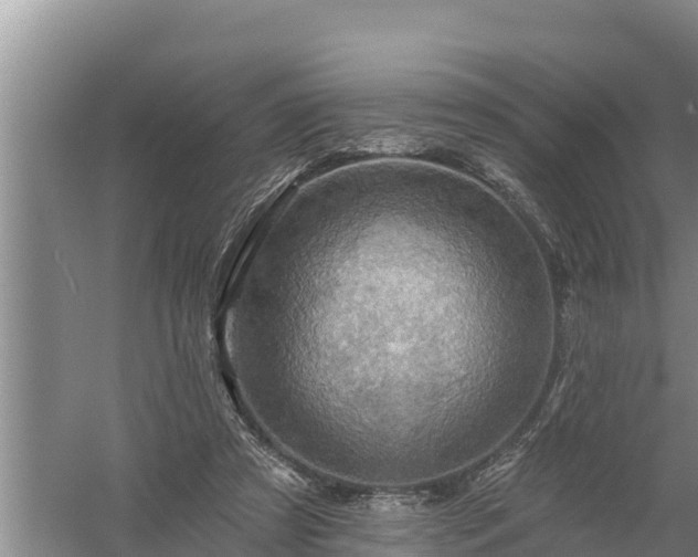 X0000058120305200509301934