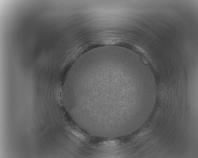 X0000058120307200509301934