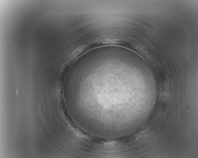 X0000058120309200509301933