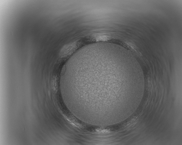 X0000058120311200509301933