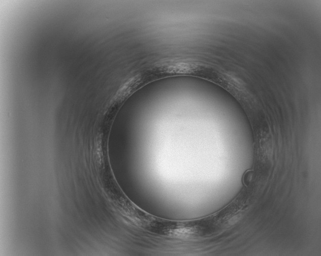 X0000058120312200509301933