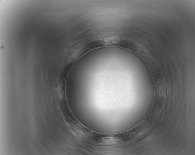 X0000058120316200509301933