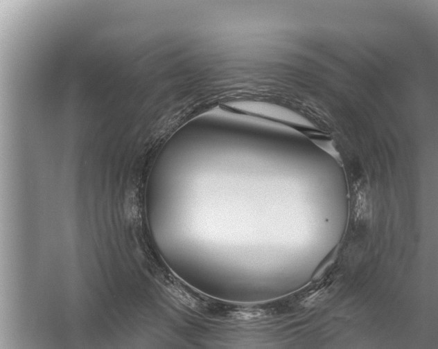 X0000058120317200509301933