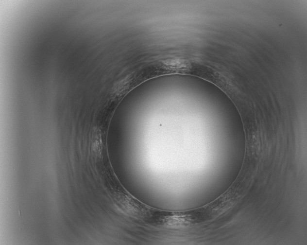 X0000058120320200509301933