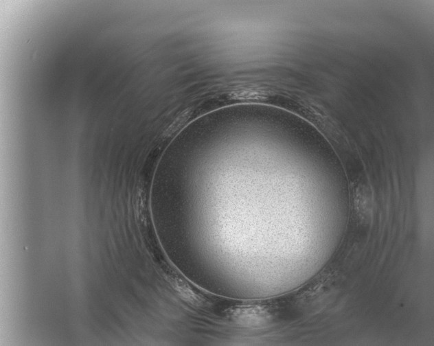 X0000058120322200509301933