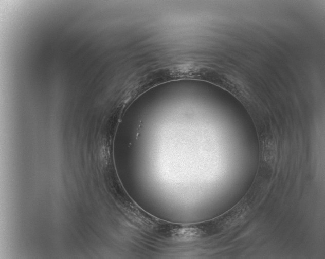 X0000058120324200509301933