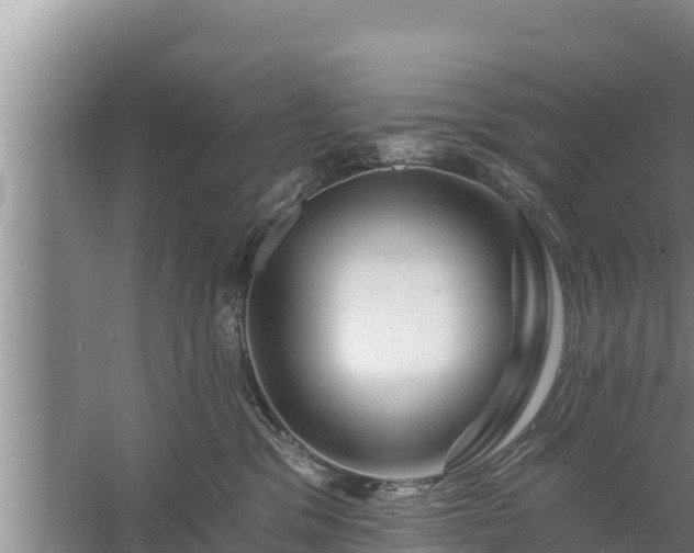 X0000058120329200509301933