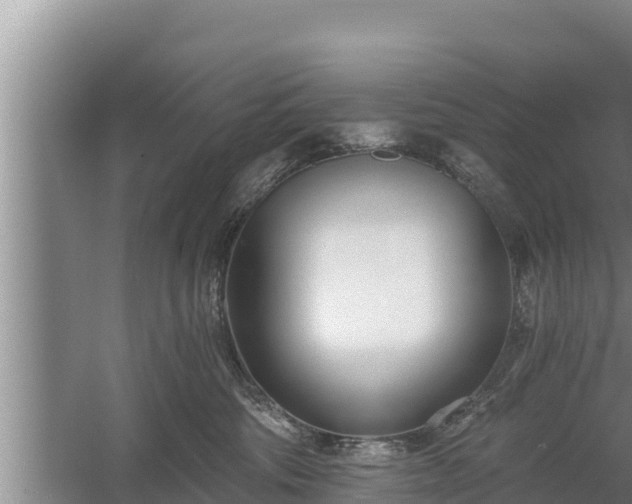 X0000058120330200509301933