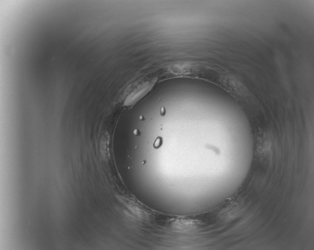 X0000058120332200509301933