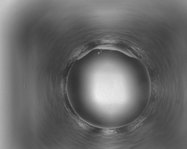 X0000058120333200509301933