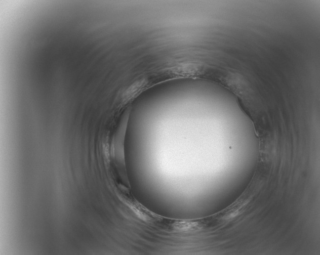 X0000058120334200509301933