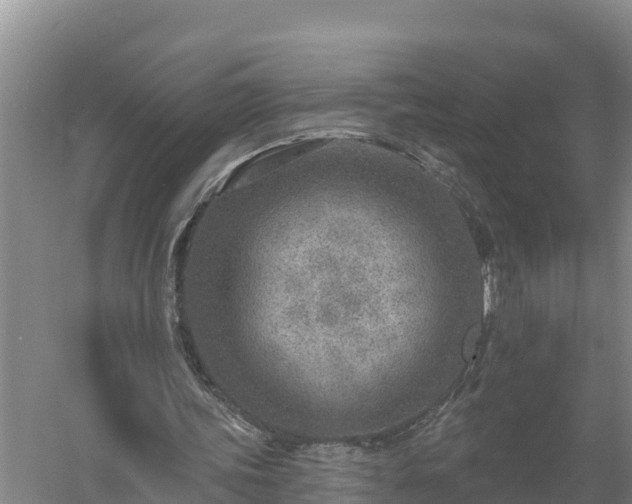 X0000058120339200509301932