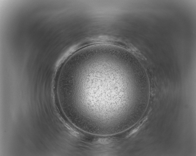 X0000058120341200509301932