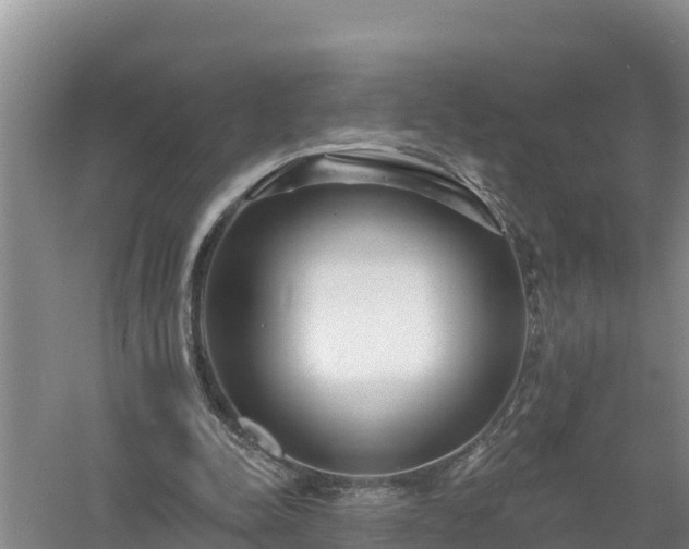 X0000058120342200509301932