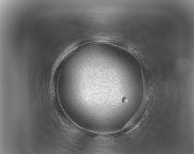 X0000058120343200509301932