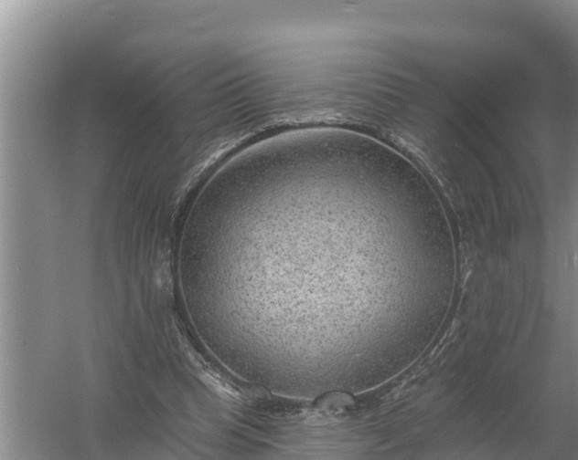 X0000058120345200509301932