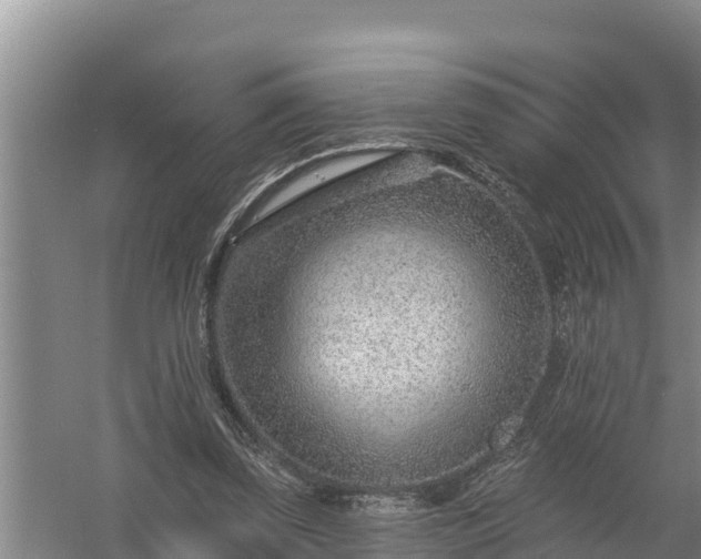 X0000058120347200509301932