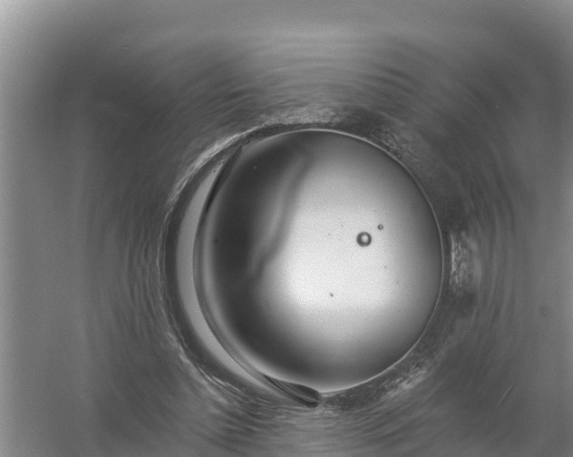 X0000058120348200509301932