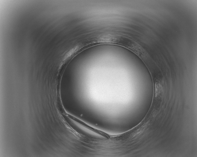 X0000058120349200509301932