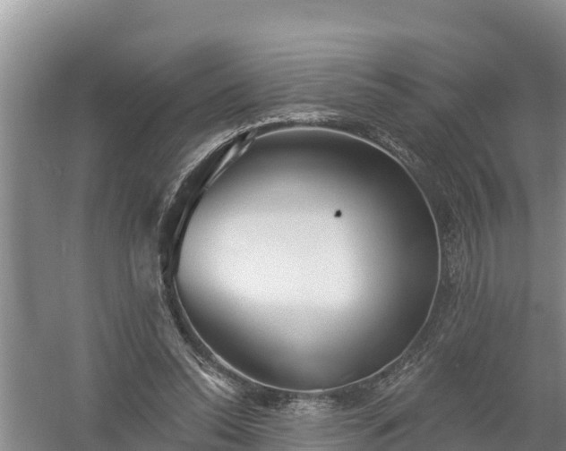 X0000058120350200509301932