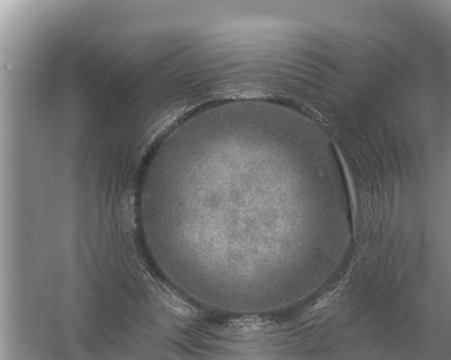 X0000058120351200509301932