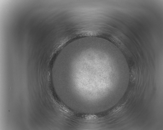 X0000058120355200509301933