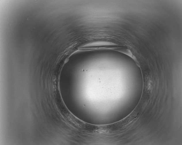 X0000058120356200509301933