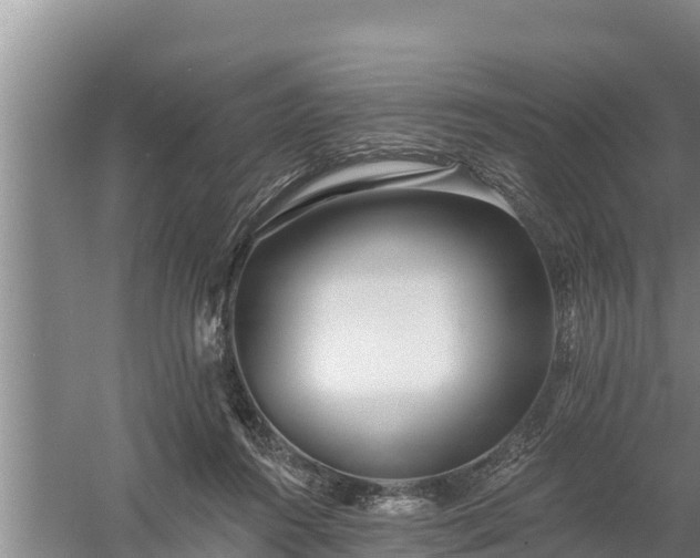 X0000058120360200509301933