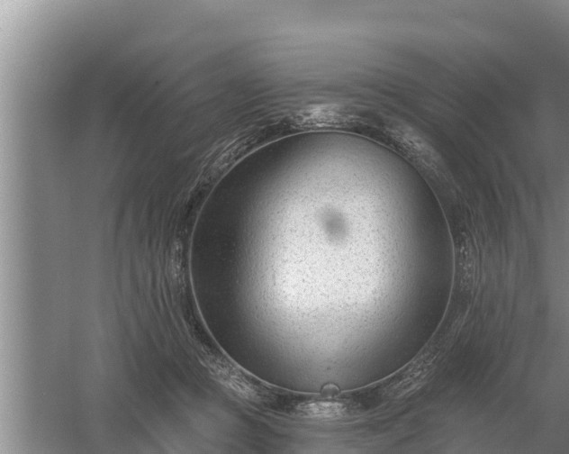 X0000058120361200509301933