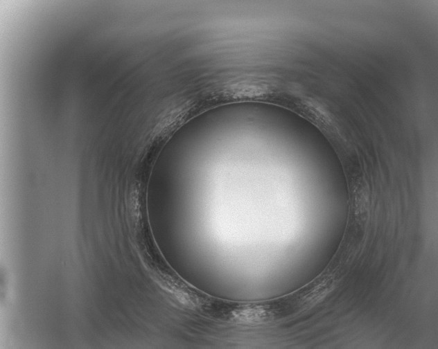 X0000058120362200509301933