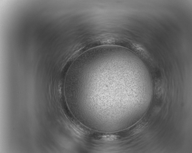 X0000058120363200509301933