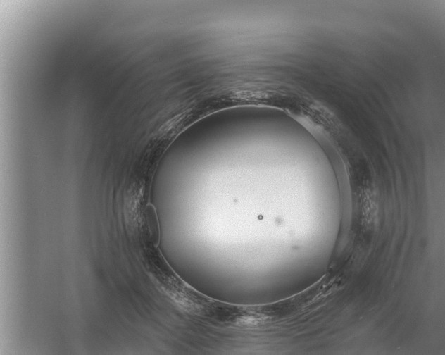 X0000058120364200509301933