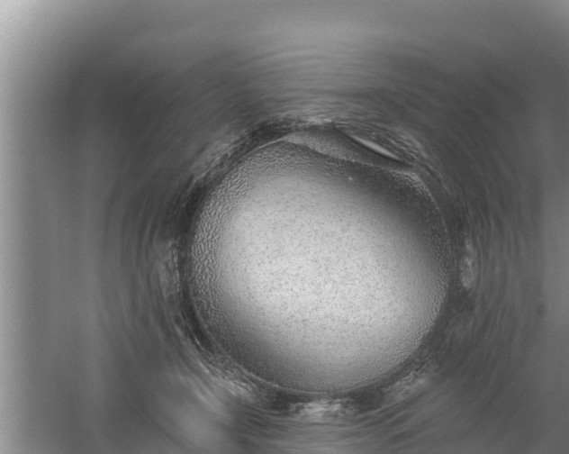 X0000058120366200509301933