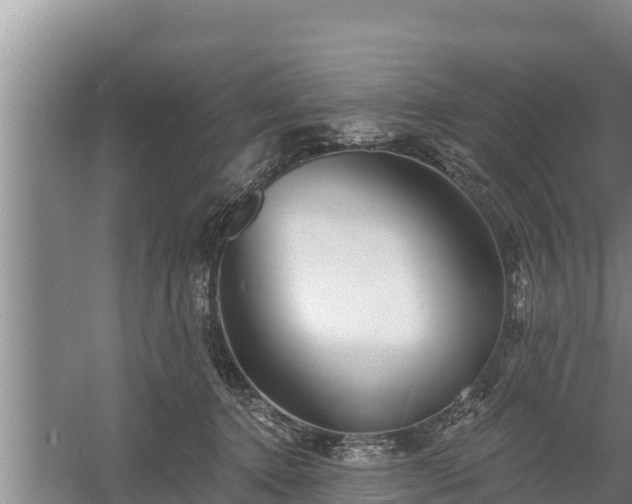 X0000058120368200509301933