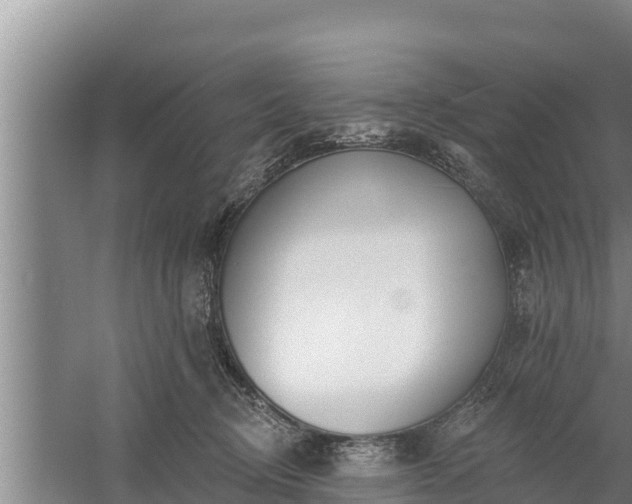 X0000058120370200509301933