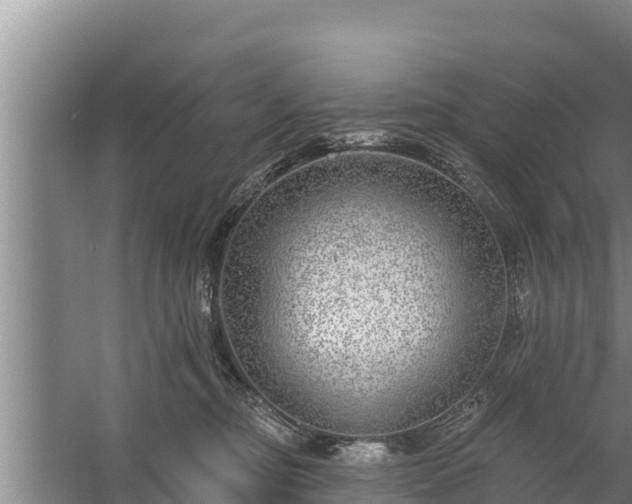 X0000058120374200509301933