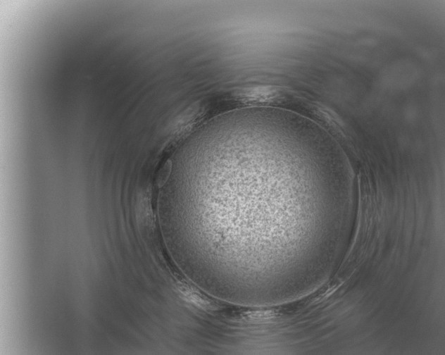 X0000058120377200509301933