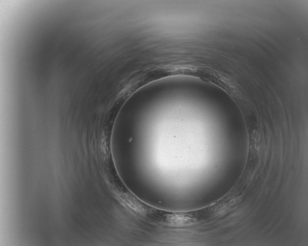 X0000058120380200509301933