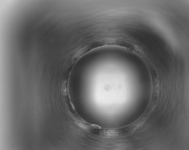 X0000058120383200509301933