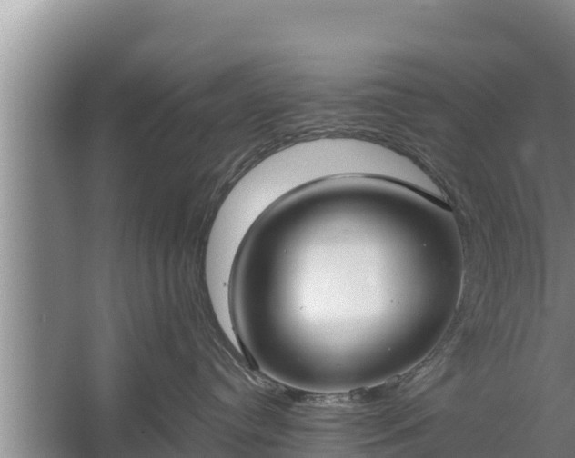 X0000058120384200509301933