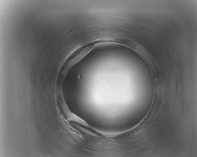 X0000058120386200509301932