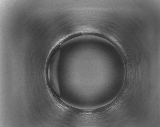 X0000058120391200509301932