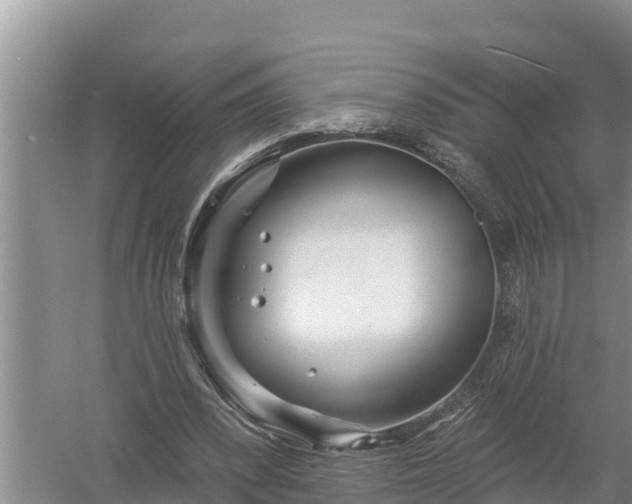 X0000058120392200509301932